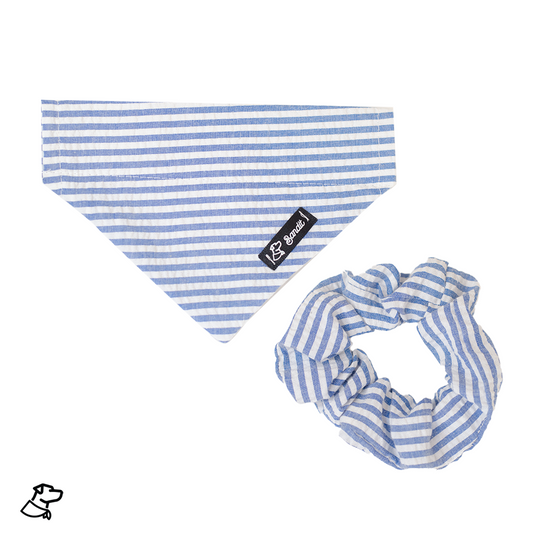 Set Stripes (bandana + scrunchie)