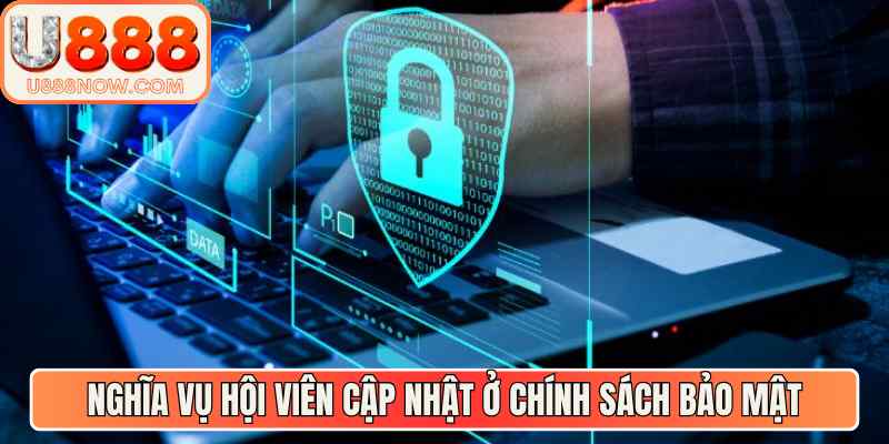 Nghĩa vụ hội viên cập nhật ở chính sách bảo mật