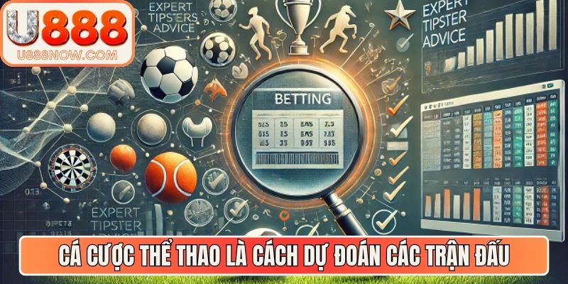 Cá cược thể thao là cách dự đoán các trận đấu